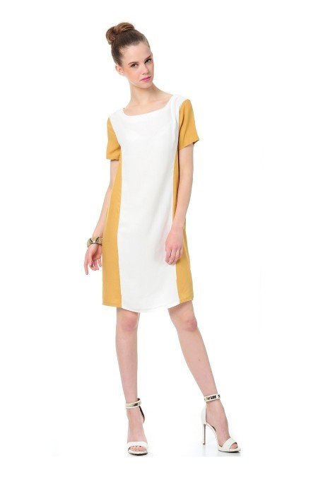 Sarı Elbise