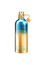 Montale Paris Aoud Lagoon Edp 100 Ml Unisex Tester Parfüm Montale Paris Aoud Lagoon Edp 100 Ml Unisex Tester Parfüm