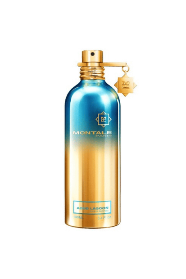 Montale Paris Aoud Lagoon Edp 100 Ml Unisex Tester Parfüm Montale Paris Aoud Lagoon Edp 100 Ml Unisex Tester Parfüm