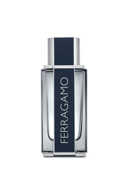Salvatore Ferragamo Pour Homme 100 ml Edt Erkek Tester Parfüm