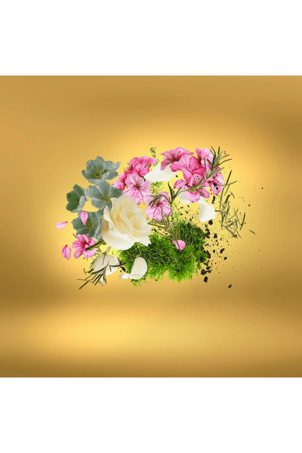 Xerjoff Casamorati Casafutura Edp 100 ml Unisex Tester Parfüm Xerjoff Casamorati Casafutura Edp 100 ml Unisex Tester Parfüm