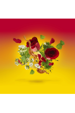 Xerjoff Casamorati Levar del Sole Edp 100 ml Unisex Tester Parfüm Xerjoff Casamorati Levar del Sole Edp 100 ml Unisex Tester Parfüm