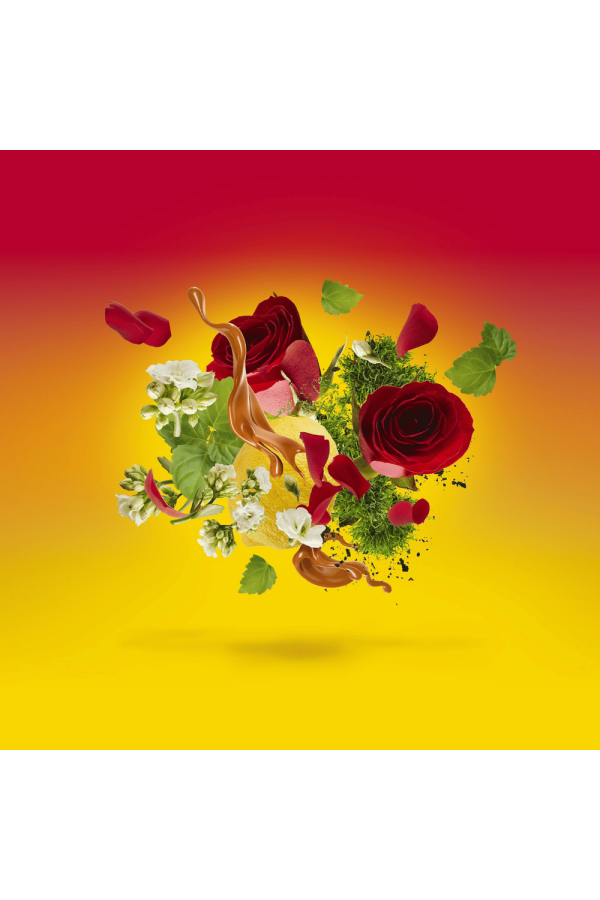 Xerjoff Casamorati Levar del Sole Edp 100 ml Unisex Tester Parfüm Xerjoff Casamorati Levar del Sole Edp 100 ml Unisex Tester Parfüm