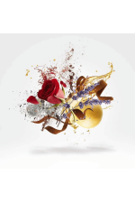 Xerjoff Louis XV 1722 De Venoge 50 ml Unisex Tester Parfüm