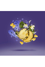 Xerjoff Vibe Accento Edp 100 ml Unisex Tester Parfüm Xerjoff Vibe Accento Edp 100 ml Unisex Tester Parfüm