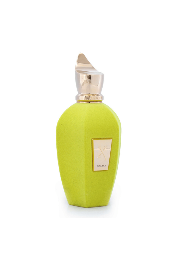 Xerjoff Vibe Amabile Edp 100 ml Unisex Tester Parfüm Xerjoff Vibe Amabile Edp 100 ml Unisex Tester Parfüm