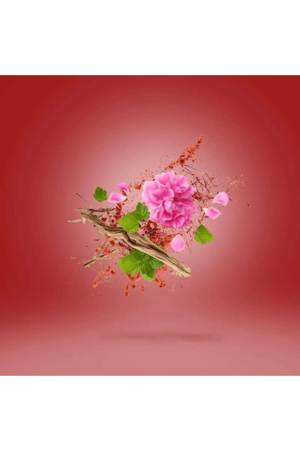 Xerjoff Vibe Wardasina Edp 100 ml Unisex Tester Parfüm Xerjoff Vibe Wardasina Edp 100 ml Unisex Tester Parfüm